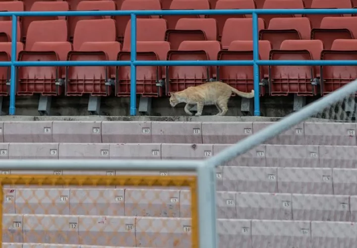 Romelia duerme en las graderías, su lugar preferido  en todo el coliseo deportivo.