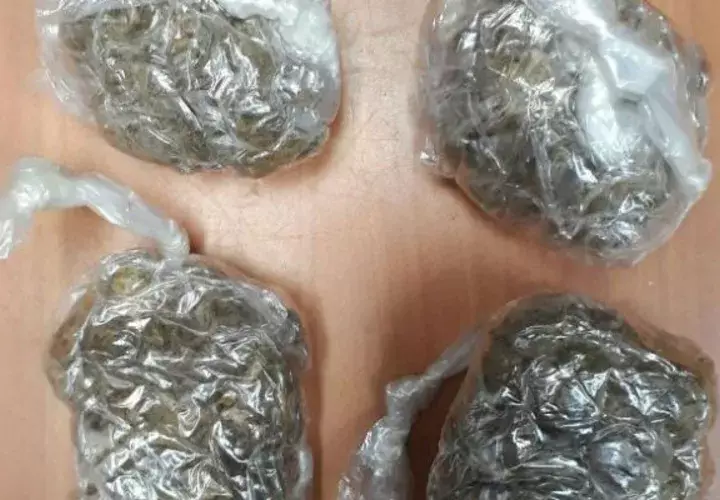  @ProtegeryServir 