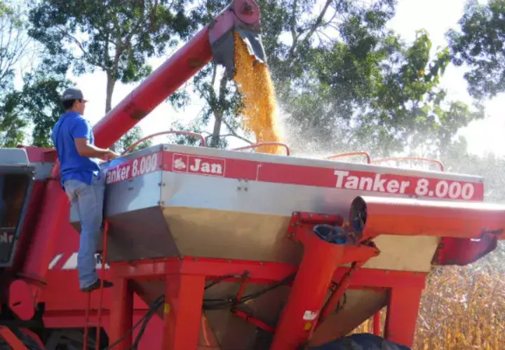 Los agroindustriales, les están comprando de forma lenta. Foto: Zenaida Vásquez.