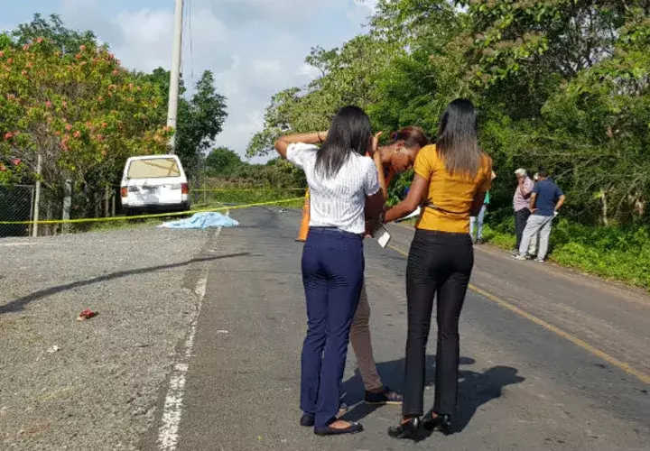 El conductor del vehículo lo dejó tirado en la carretera. Foto: Delfia Cortez