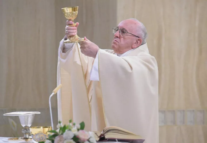 El papa Francisco hace un llamado para un mayor esfuerzo para la paz. FOTO/EFE