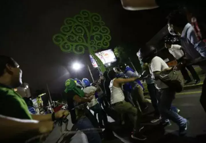 Un grupo de manifestantes, cuando intentaban derribar el árbol. Foto: EFE