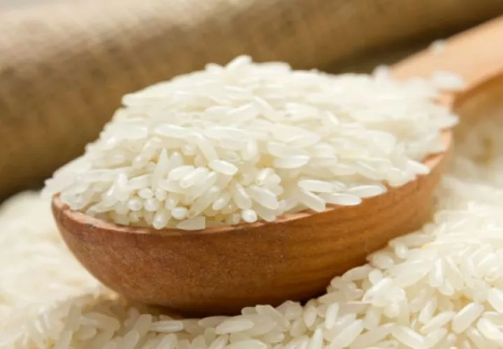 Analmo comprará toda la producción nacional del ciclo agrícola 2018- 2019