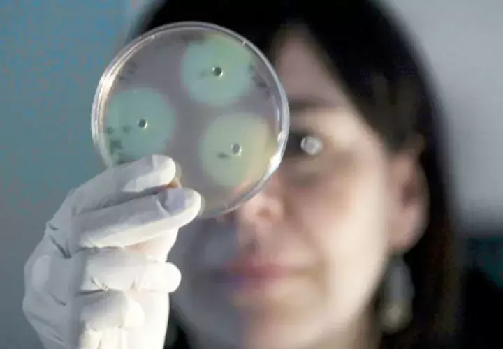 muerte, e. coli, bacteria