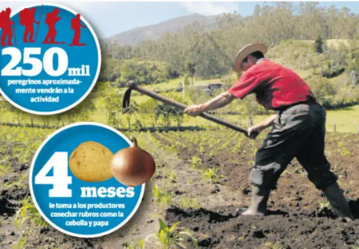  Panamá no es autosuficiente en varios rubros importantes que el panameño consume 