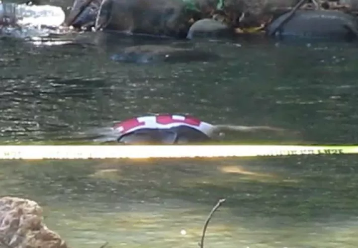 El cuerpo quedó flotando en el río Zaratí. Foto: Elena Valdez. 
