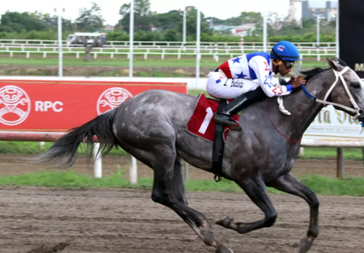 Stilburnin enfrenta hoy una carrera difícil.