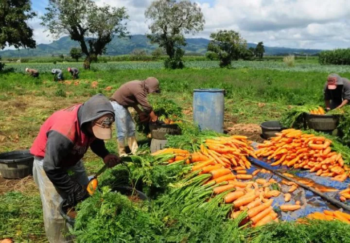Para 2030 la ONU se ha propuesto erradicar el hambre y la pobreza en el mundo. /Foto Cortesía