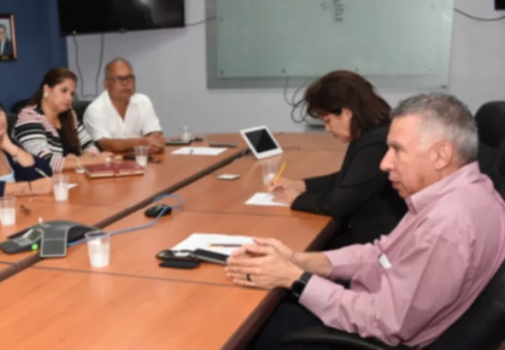 Reunión realizada por la CSS. 