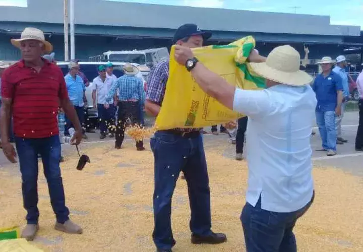Según el presidente de Anagan, se está  saturando el mercado, lo que afecta  no solo al productor, sino a todo el comercio local. /Foto Thays Domínguez