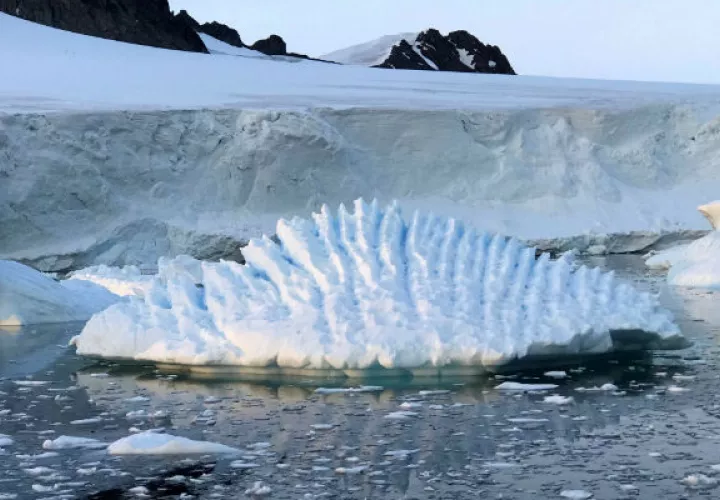 La temperatura global promedio del año hasta la fecha fue 1,39 grados Farenheit superior al promedio de 55,5 grados Farenheit (13 centígrados), lo que empató al 2010. 