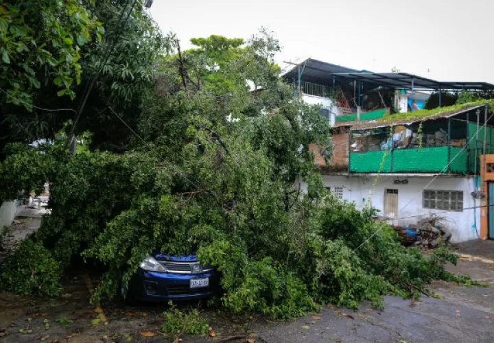Las afectaciones propiciadas por el paso de la tormenta Carlotta. Foto: EFE 
