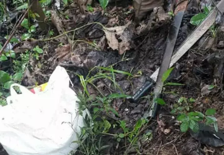 Utilizaron un machete ya ramas de fuego para amenazar a la familia durante el robo. Foto/Diómedes Sánchez