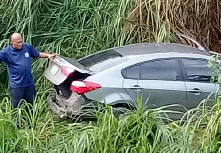 Quedó incrustado en la maleza. Foto: Diómedes Sánchez. 