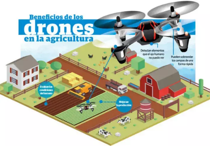 400 mil panameños están en riesgo de sufrir un alto riesgo de inseguridad alimentaria porque no les alcanza para cubrir los costos de la CBF.
