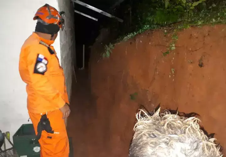 Sinaproc inspecciona la casa afectada por el deslizamiento y caída de un muro. Foto/Thays Domíngeuz