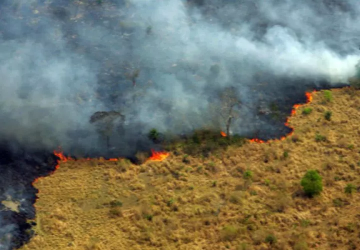 Son cerca de cuarenta incendios los registrados en doce estados. Foto: EFE 