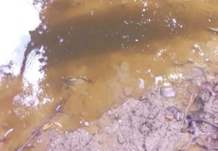 Áreas contaminadas. Foto/Zenaida Vásquez 