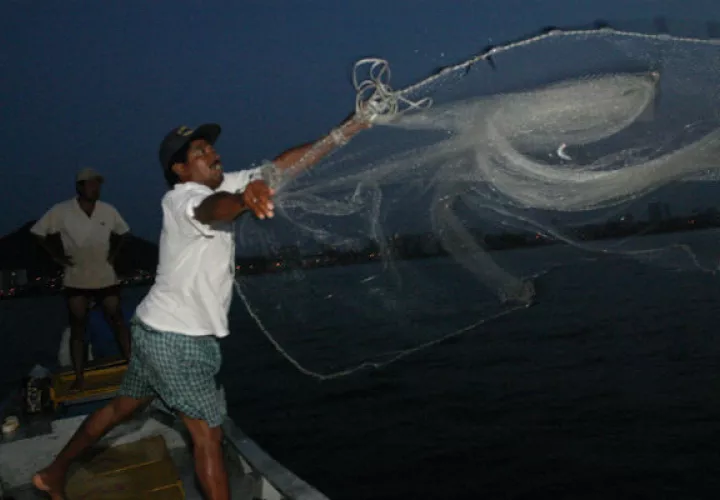 Los pescadores son clave en el cuidado de la vida marina. Foto: Archivo.