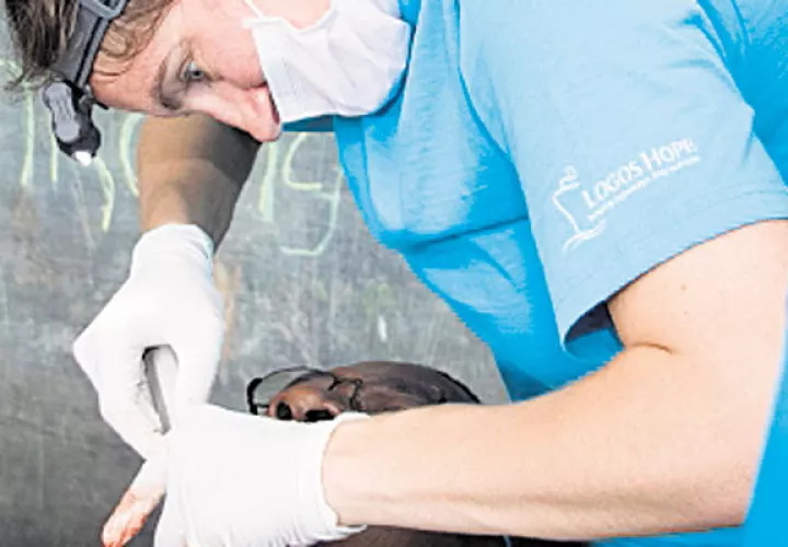 Voluntariado