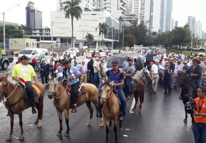 Los productores aprovecharon para pedir respeto a su trabajo, su inversión y el pan de su familia al gobierno de Juan Carlos Varela. /Foto: Yaissel Urieta Moreno