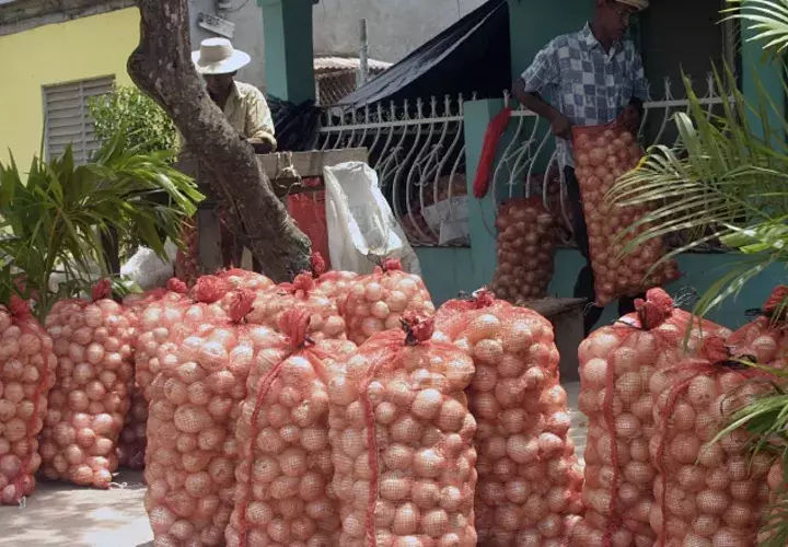 Importación golpea el mercado. /Foto Archivo