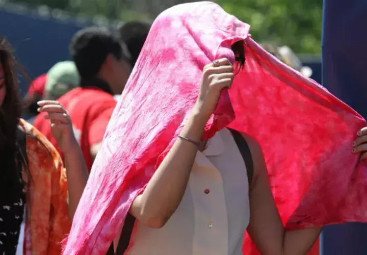 El pasado viernes se inició la peor ola de calor sufrida. Foto: EFE 