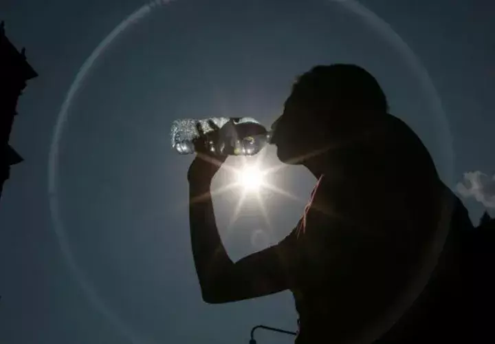 A las temperaturas se añade elevados índices de humedad, creando una combinación mortal. Foto: EFE 