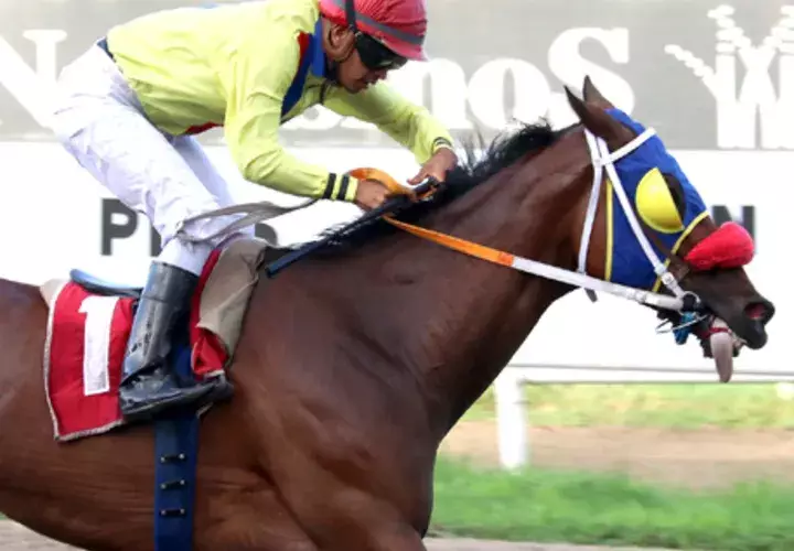 Niña Nashly reaparece en la primera de hoy, otra vez con Edgar Yangüez.