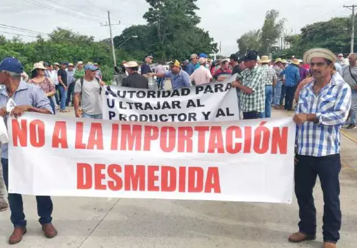 Productores de ganado, maíz, tomate, leche y demás rubros señalaban que el desbalance de importaciones