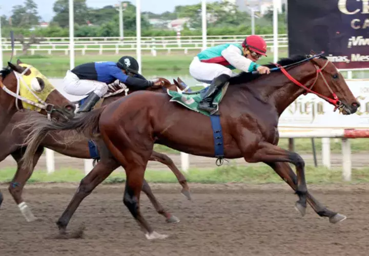 El Gran Durkirk (negro y azul) puede ganar hoy.