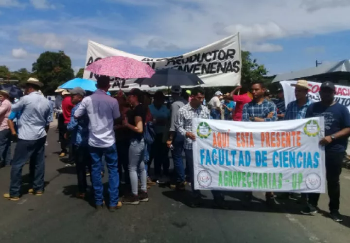 Los productores han dejado su posición clara al gobierno. Foto: Thays Domínguez.