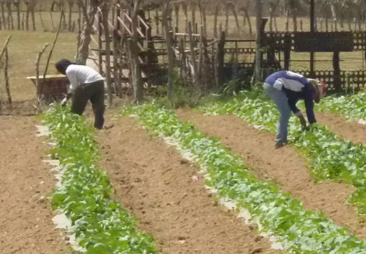 Los productores exigen respuestas.