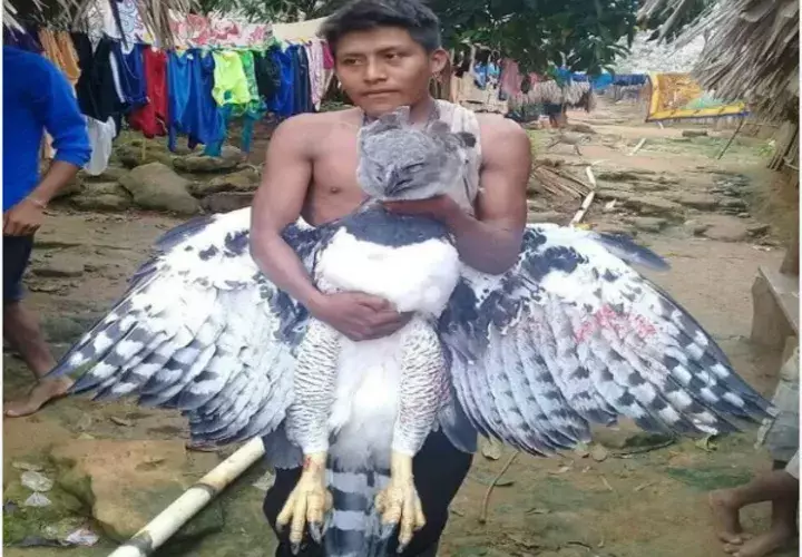 No se ha tenido reporte oficial sobre el hecho. / Foto: Cortesía