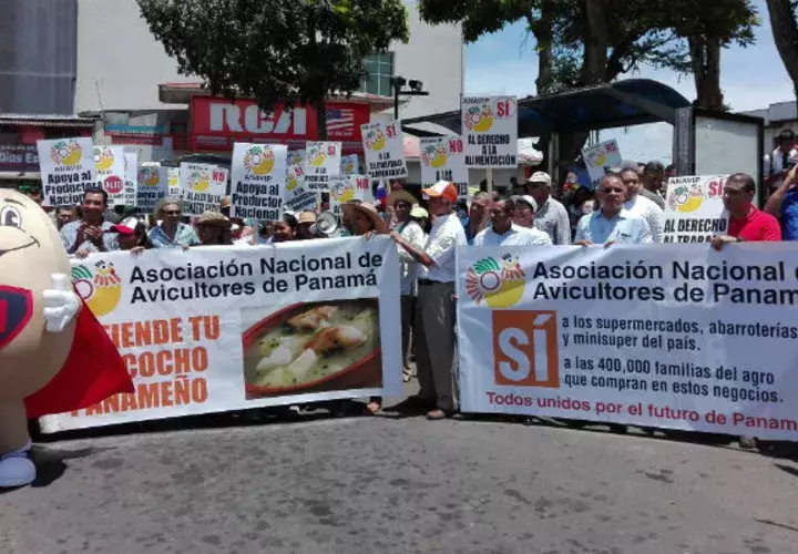 Exigen al Gobierno limitar las importaciones de carne de pollo y huevo.