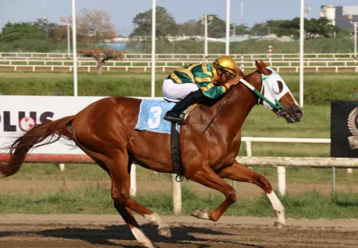 Arthutr's Pride será uno de los favoritos de hoy.