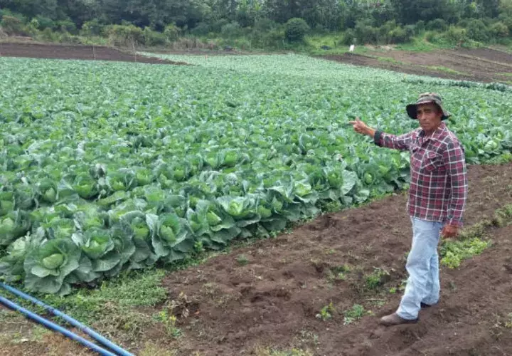 Los productores se cansaron de las promesas y exigen solución a su necesidad. Foto/José Vásquez