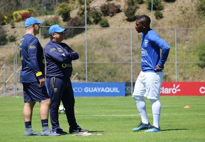Bolillo Gómez inició los microciclos con Ecuador.