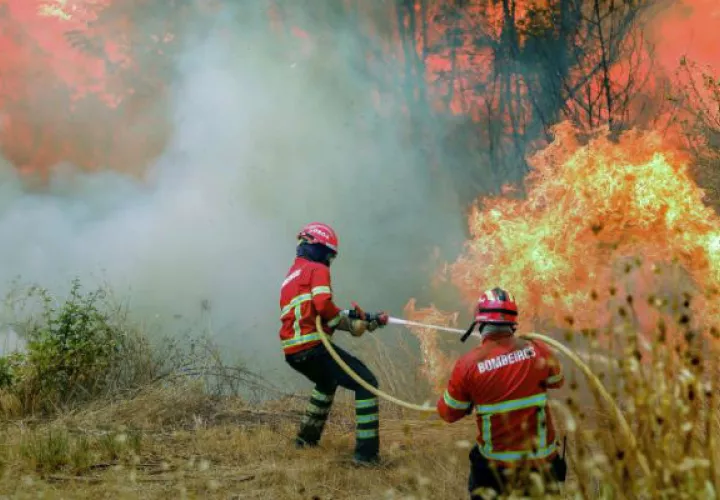 Bomberos tratan de extinguir las llamas del incendio. Foto: EFE