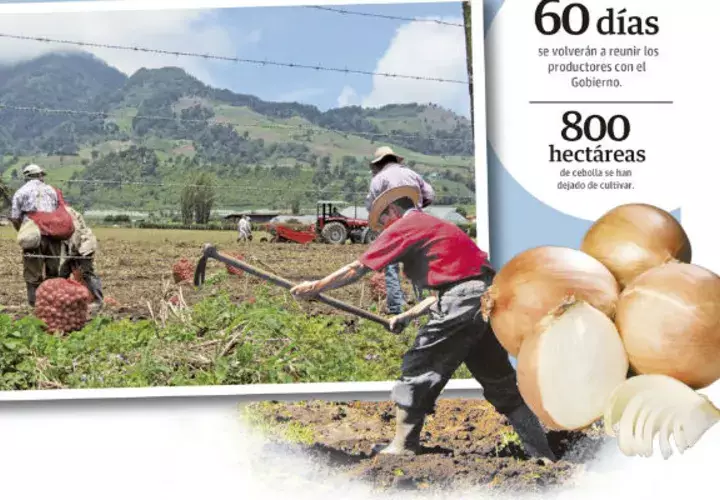 El sector agro está en crisis por falta de políticas públicas.