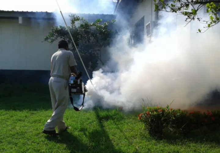 Realizan operativos contra bajar los niveles de criaderos de mosquitos. Foto/Mayra Madrid