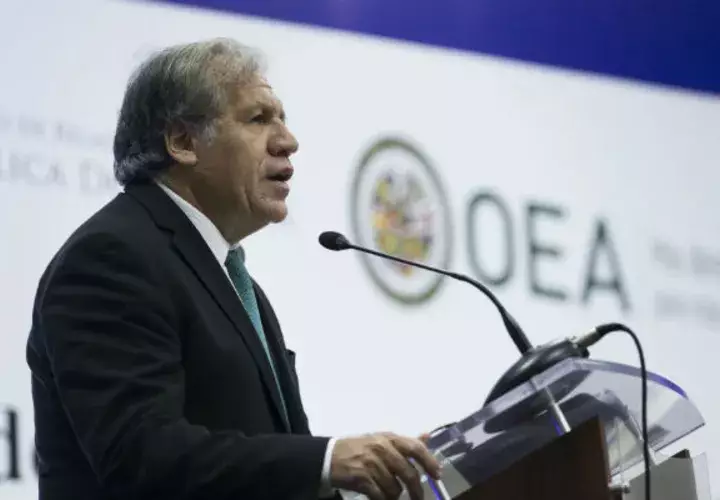 Luis Almagro, secretario general de la OEA. Foto: EFE.