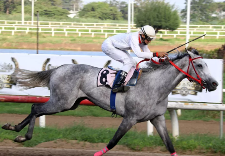 Bella Harbor será favorita hoy.