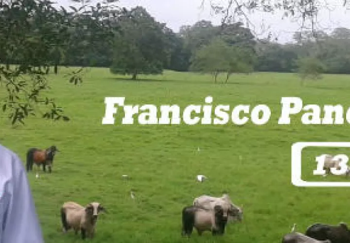 Precandidato Francisco Denis Real