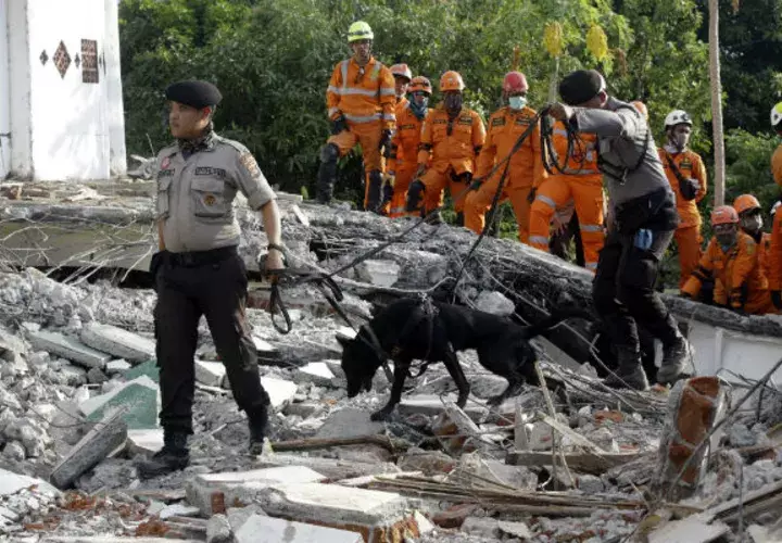 Rescatistas con perros rastreadores buscan víctimas. Foto: AP 