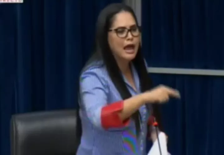 Se trata de una sugerencia en Google que la diputada Zulay Rodríguez calificó como una desesperación.