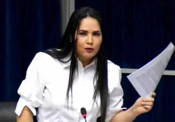 Diputada Zulay Rodríguez
