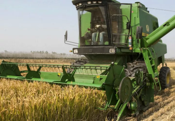 El cambio climático reorganizará la producción en la agricultura.