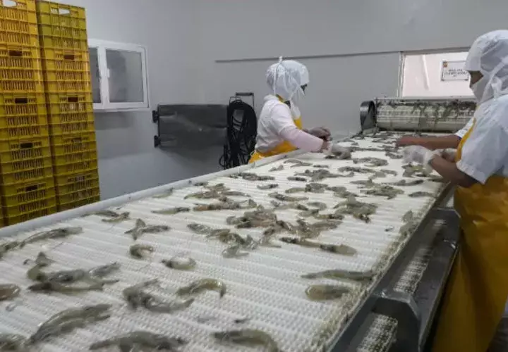 El 90% del volumen de producción de la empresa es destinado a la exportación