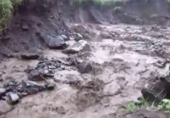 Las fuertes lluvias han causado deslizamientos y caída de árboles. Foto/Mayra Madrid